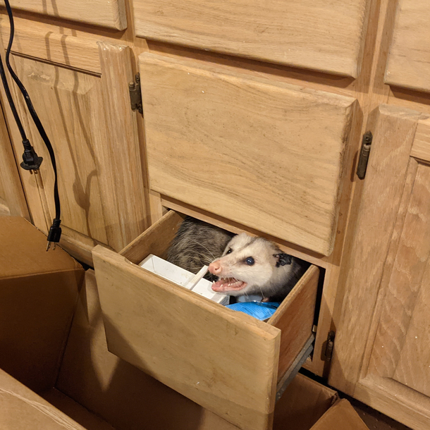 Guess this is her drawer now