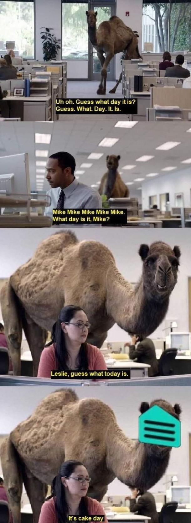 Guess what guys