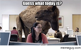 Guess what today is