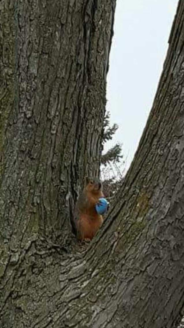 Guess who found the last egg
