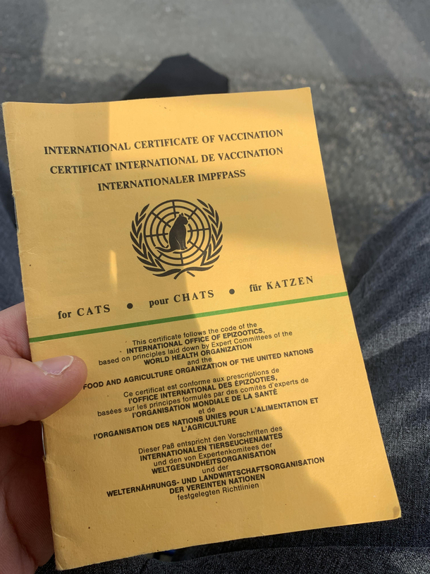 Guess who fucked up and showed his dead cat vaccination pass at the vaccination center today