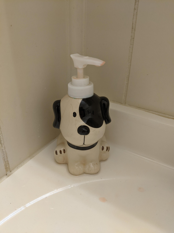Guests in my house are told to use soapdog so then they have to ask whats soapdog