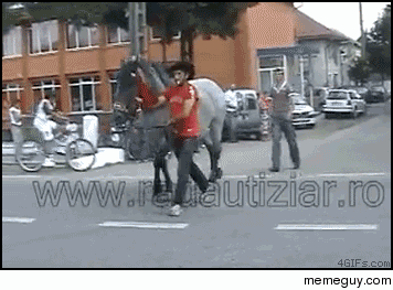 Guy annoys horse