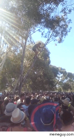 guy climbs tree at music festival the obvious ensues
