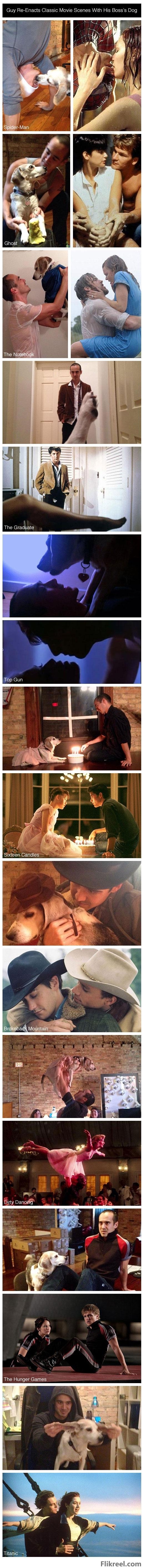 Guy re-enacts classic movies scenes with his Bosss dog