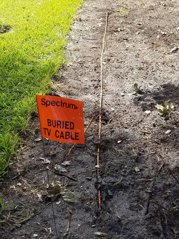 Guy who had the one specific job of burying the cable just left after I told him the last one was cut because it was never buried Palm Harbor FL