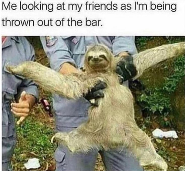Guys come lets go to another bar