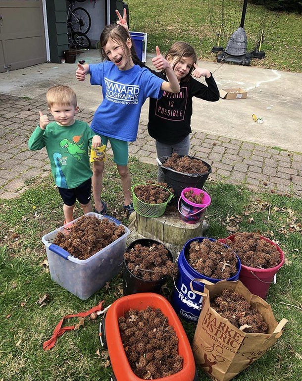 Had a competition to see how many spiky balls they could collect Parenting win