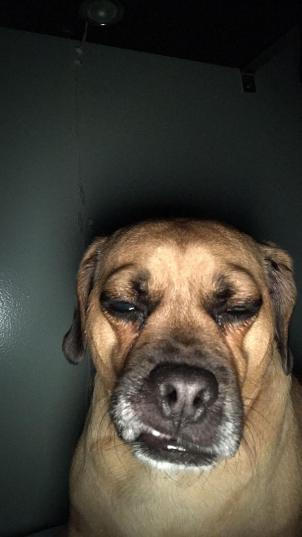 Had one too many drinks