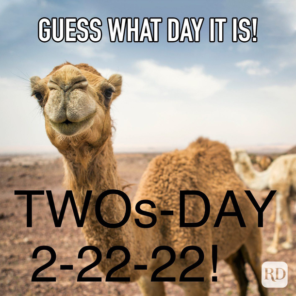 Had to be ready for dad jokes tomorrow so I made this to wake up my wife