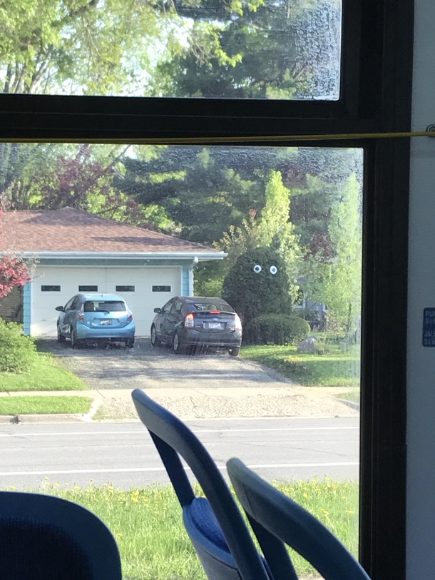 Had to do a double take