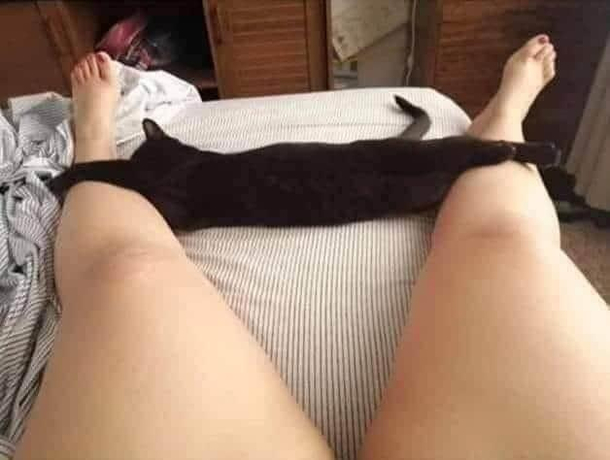 Had to look twice
