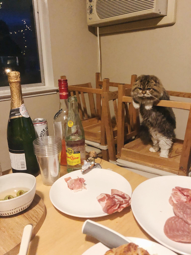 Had to move my chairs so Toto couldnt get to the charcuterie
