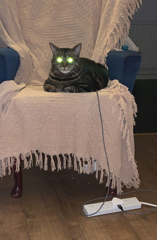 Had to put my cat on charge