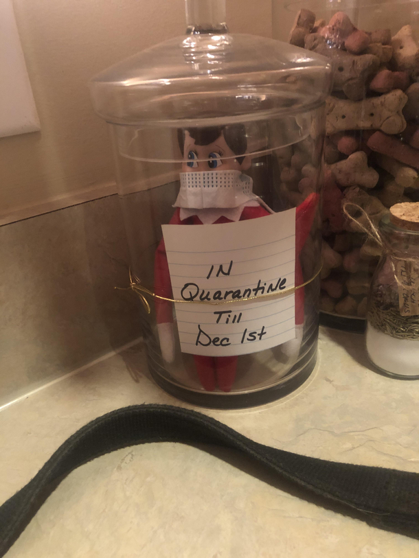 Had to put the elf in quarantine until December st