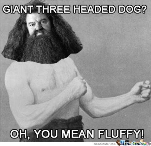 Hagrids dog