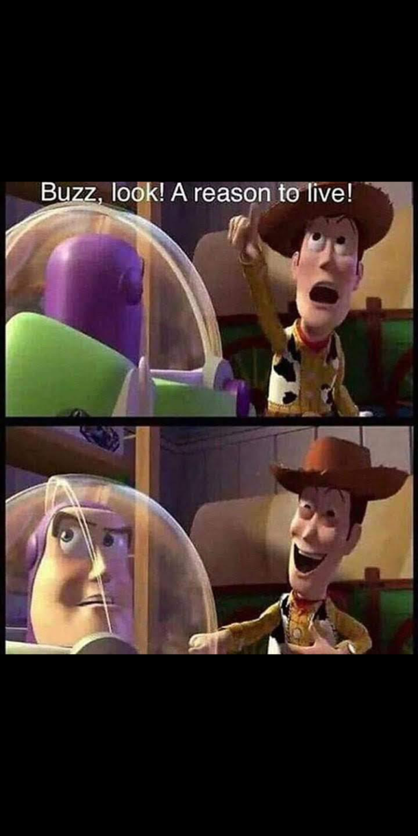 Haha woody be savage