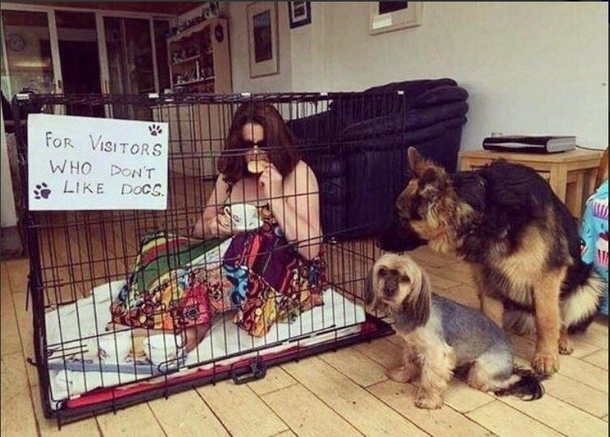 HAHAHA For Some One Who Dont Like Dogs