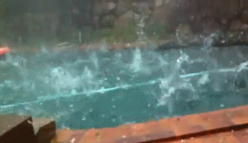 Hail No