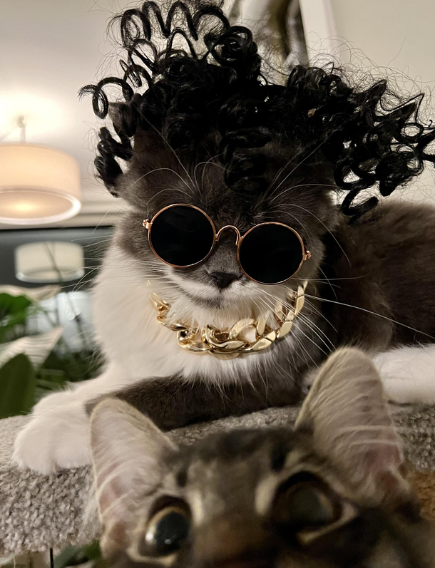 Halloween Brothers