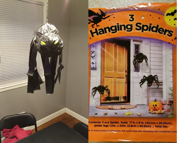 Halloween Spider