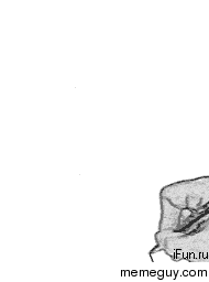 Hand Drawing