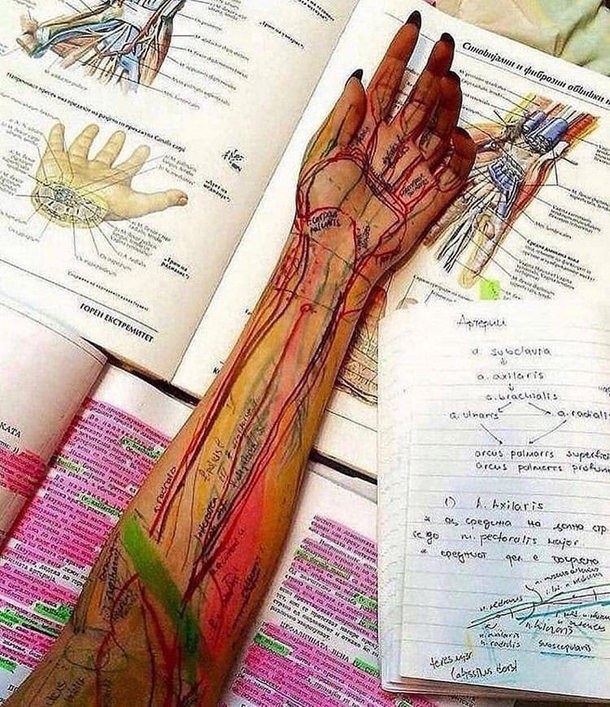 Hands on learning
