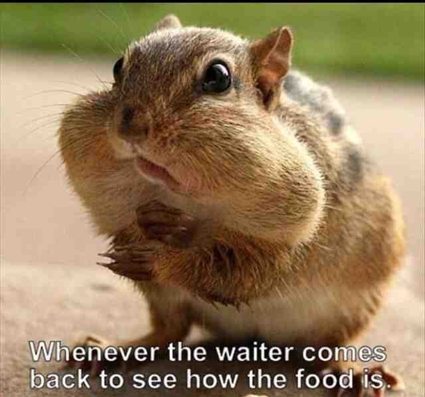 happens every single time