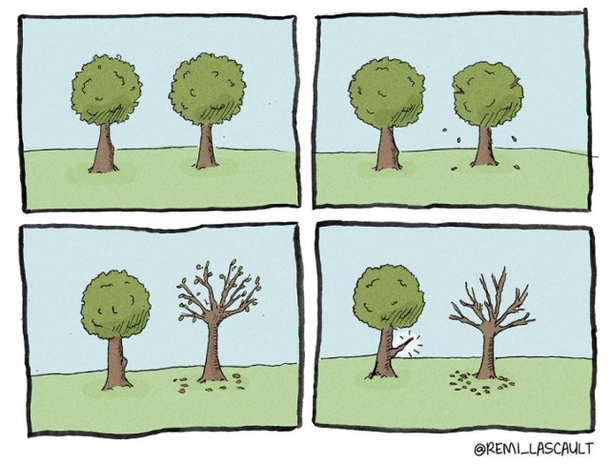 Happens in fall