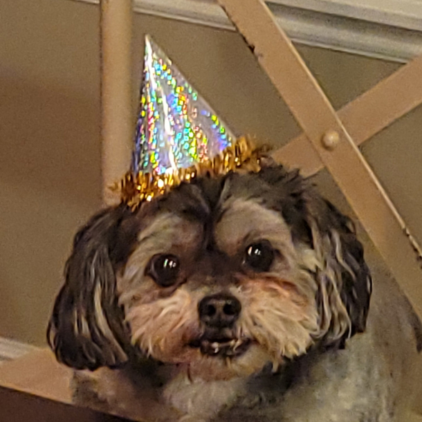 Happy Birthday from Smudge