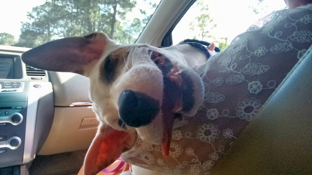 Happy car ride