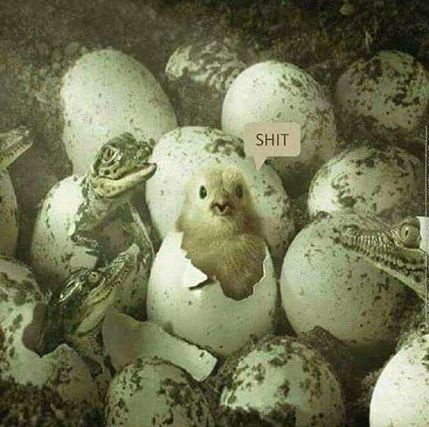Happy Easter