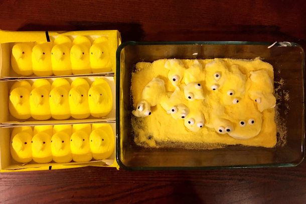 Happy Easter