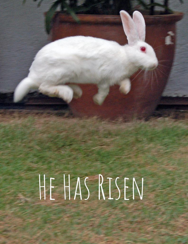 Happy Easter