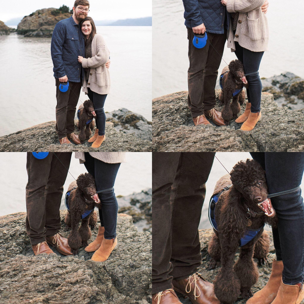 Happy engaged couple but the doggo steals the show