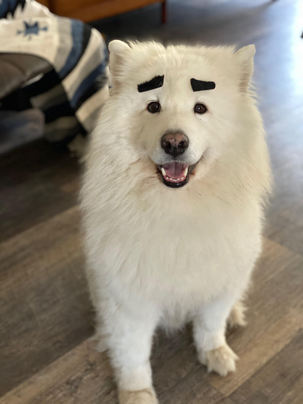 Happy Friday from Groucho Barx