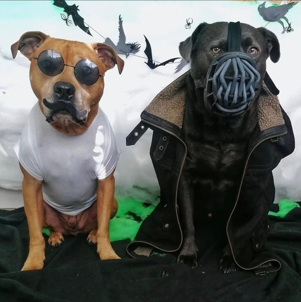 Happy Halloween