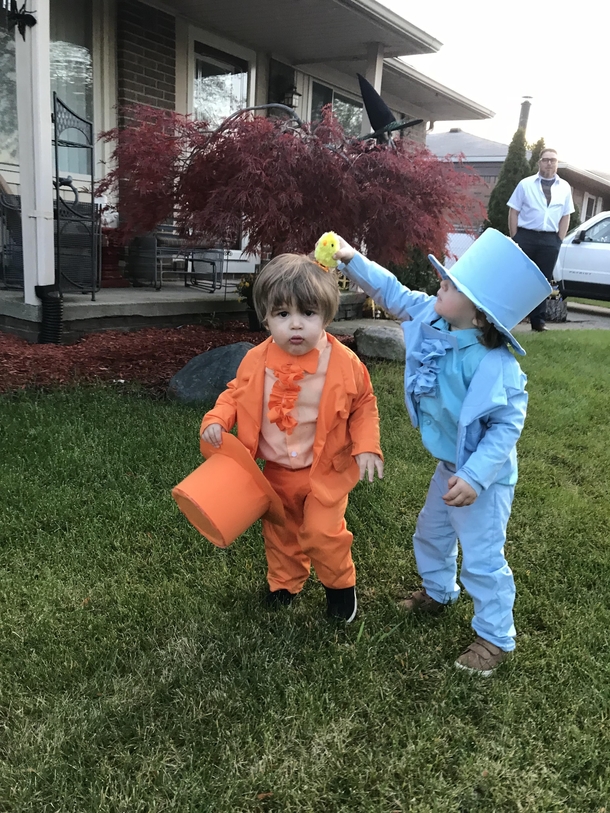 Happy Halloween from the boys