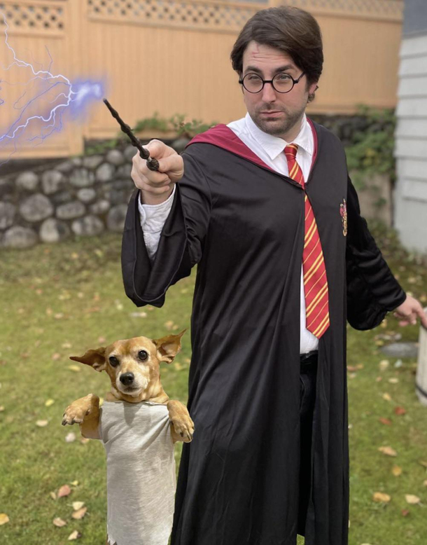 Happy Halloweenie