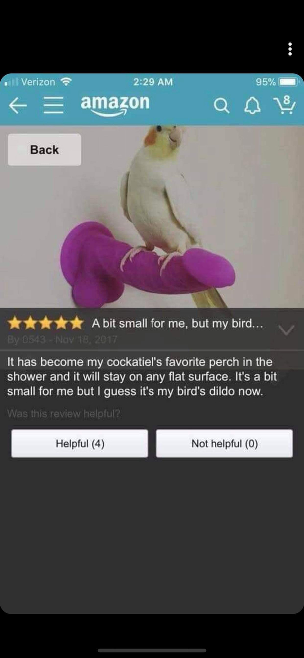 Happy Little Bird