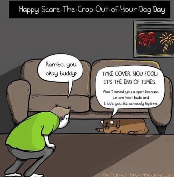 Happy Scare the Crap Out of Your Dog Day