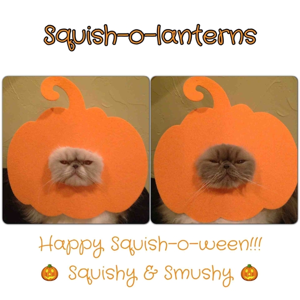 Happy Squish-o-ween
