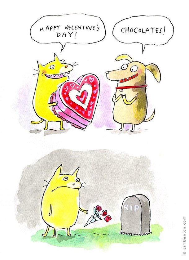 Happy Valentines Day Meme Guy