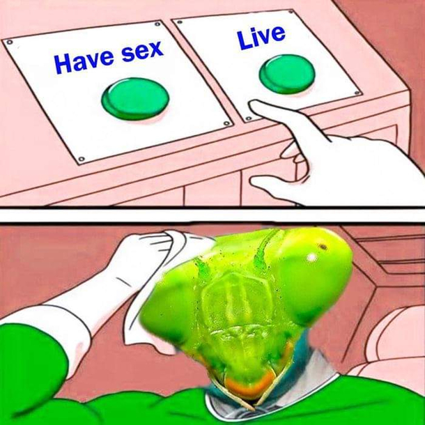 Hard choice