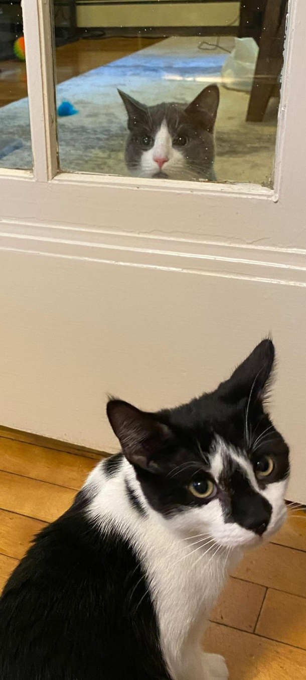 Harold is not pleased