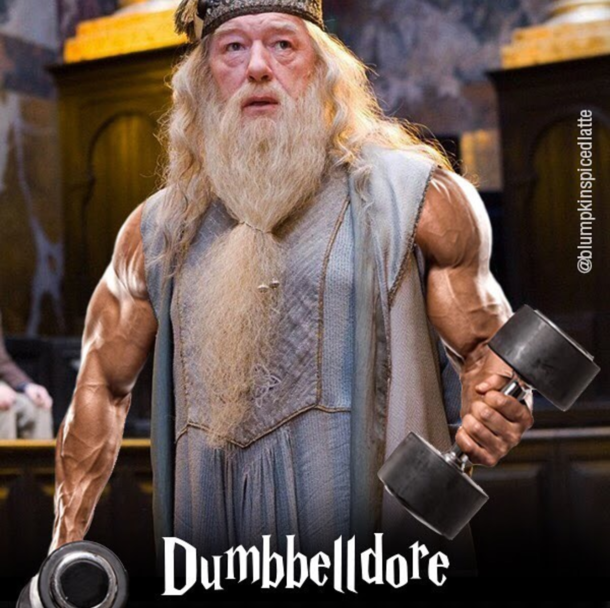 Harry Potter and the Sworcerer of Swoll