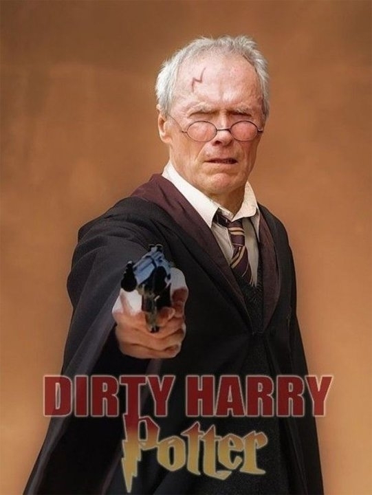 Harry Potters Later Years