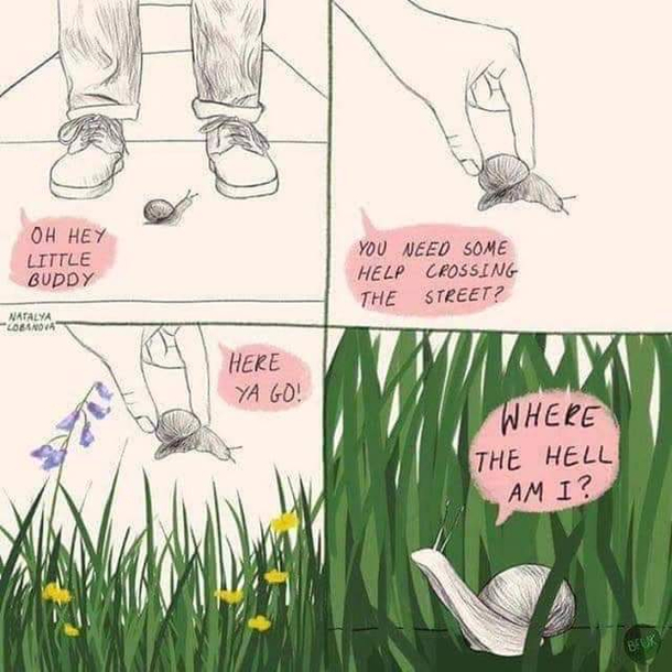 Has to be a strange experience for small creatures