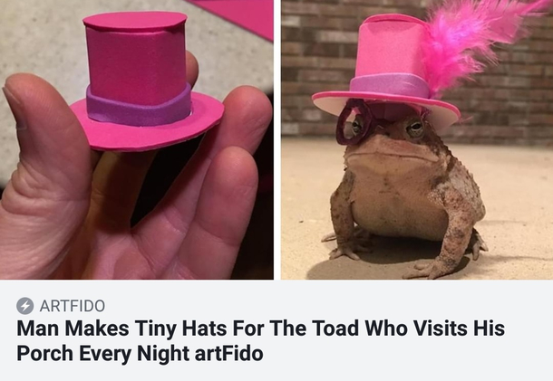 Hats for a toad