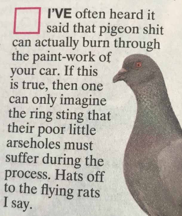 Hats off to the flying rRats
